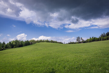 Green meadow in Klastorisko in Slovak Paradise National Park in Slovakia