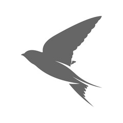 Swallow logo vector template, Creative swallow logo design concepts, icon symbol, illustration