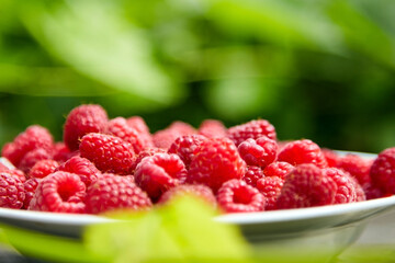 Fresh red ripe raspberries