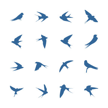 Set of Swallow logo vector template, Creative swallow logo design concepts, icon symbol, illustration
