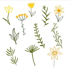 Hand drawn summer leaves, flowers and branches. Floral twig, botanical branch  and leaf doodle. Isolated vector icons set