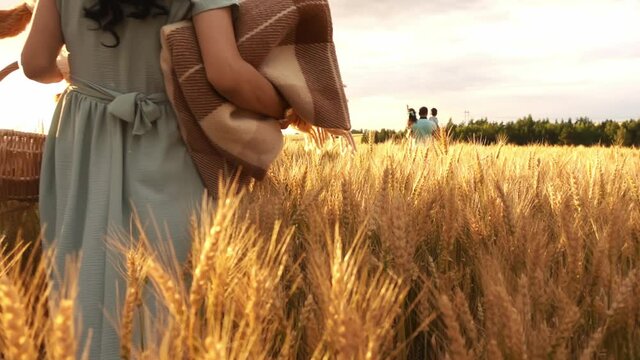 A couple with kids is walking in a meadow in search of place for picnic in slow motion. A man with children on his arms goes far away and a woman with pannier is right behind them. A weekend on nature