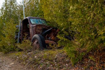 An old truck sits rusting and falling apart in the woods on an auto wrecker's yard near Rockwood, Ontario.