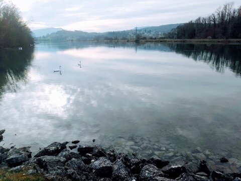 lac et cignes