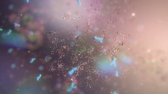 Antibodies attack and destroy the coronavirus. Close-up of dissolving virus under microscope. SARS-CoV-2 COVID-19 pandemic cure or vaccination concept. Realistic high quality medical 3d animation. 