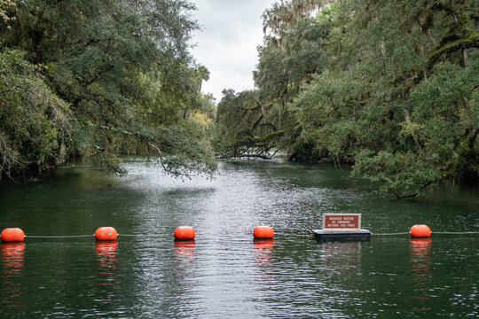 Manatee Refuge, No Swimming Sign At Blue Spring Park Florida