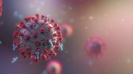 Antibodies attack and destroy the coronavirus. Close-up of dissolving virus under microscope. SARS-CoV-2 COVID-19 pandemic cure or vaccination concept. Realistic high quality medical 3d animation.  - Powered by Adobe