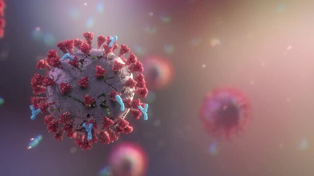 Antibodies attack and destroy the coronavirus. Close-up of dissolving virus under microscope. SARS-CoV-2 COVID-19 pandemic cure or vaccination concept. Realistic high quality medical 3d animation. 
