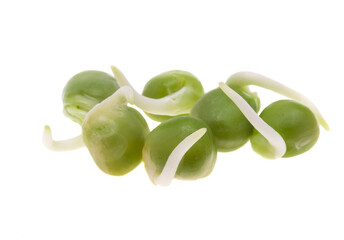 sprouted peas isolated
