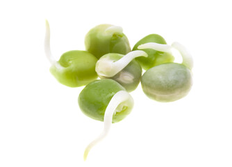 sprouted peas isolated
