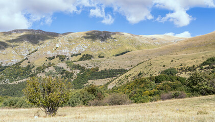 Fototapeta na wymiar San Franco peak green slopes, Abruzzo, Italy