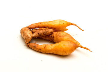 Close up of fingerroot Thai herb. Krachai ,Chinese's Ginger