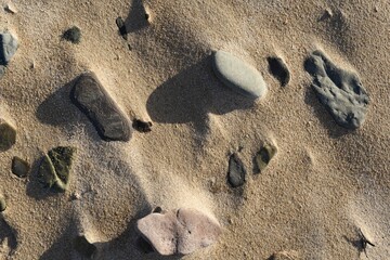 rocks in the sand