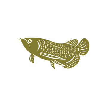 recommend clip art: Arowana fish logo vector template, Creative Arowana fish logo design concepts, icon symbol, illustration