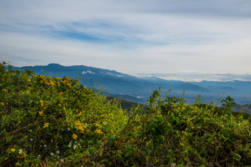 Fototapeta na wymiar view of the mountains