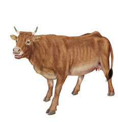 vache laitière, animal, ferme, bétail, blanc,  roux , gazon, agriculture, bétail, boeuf, taureau, champ, alpage, mammifère, isolé, prairie, mollet, lait, nature, rural, vache laitière, vert, domestiqu