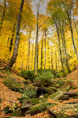 View of the waterfall in autumn. Waterfall in autumn colors. Suuctu Waterfalls, Bursa, Turkey.