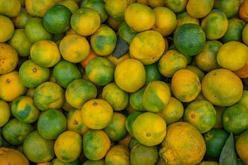 yellow and green tangerines lie in a box