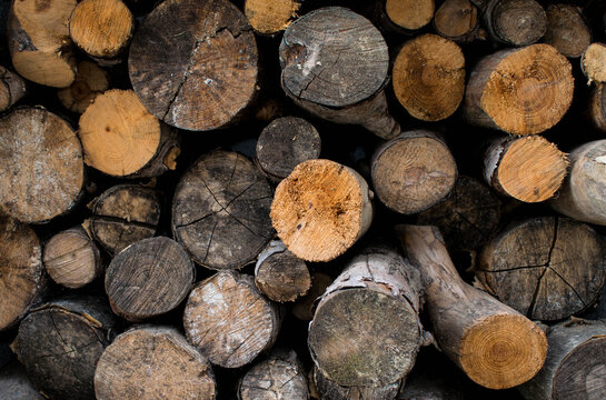 pila de troncos de madera para fondos de imagen