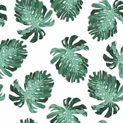 Green pattern with monstera palm leaves on white background. Seamless summer tropical fabric design.