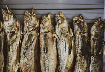 dried fish on a market in Seoul