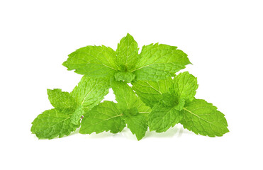 mint leafs herb. isolated on white background