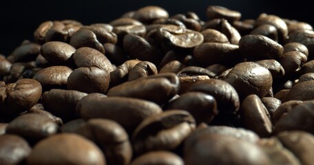 Beautiful Dark Coffee Beans. Amazing seeds of coffee.Concept premium coffee bean for process best coffee. 