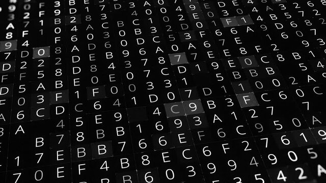 Background of changing numbers and letters. Animation. Black and white background of changing numbers in cells. Computer coding with multiple letters and numbers