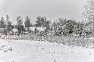 Winter landscape in the countryside with trees and houses.