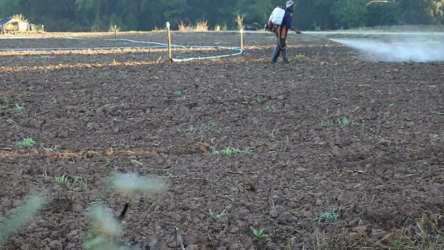 Agricuture​e land​ with​ farmer spraying chemical on​field​ befor planting.