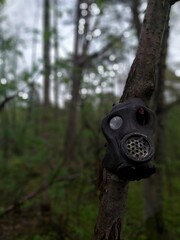 An old gas mask was left on the tree near an abandoned bunker