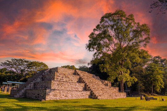 A Mayan pyramid next to a tree at the Cop&aacute;n Ruinas temples in a beautiful orange sunrise. Honduras