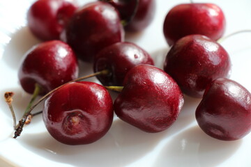 cherries on white background
