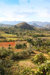 Vinales, Cuba