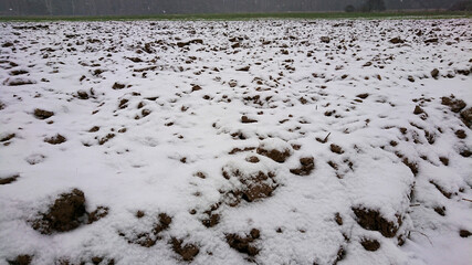 Pierwszy śnieg . © WalDec