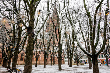 Basel, Münster, Kirche, Münsterplatz, Brunnen, Schnee, Schneedecke, Weihnachten, Weihnachtszeit, Advent, Grossbasel, Altstadt, Stadt, Pfalz, Kreuzgang, Rhein, Winter, Schweiz