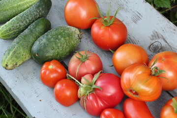 tomatoes and cucumbers