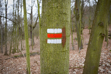 Red hiking trail sign in Czech Republic. Tree trunk trail marking on bark. Hiking in Czech Republic nature. Red mark on tree.