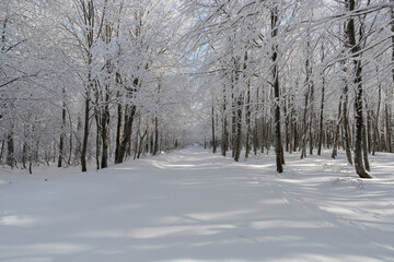 Winter. Everywhere cold places are covered with snow and slippery. Uludag National Park. Bursa, Turkey