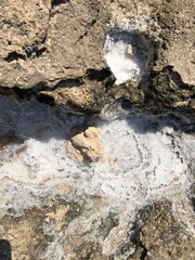 salt on Nissi beach. Cyprus. vacation, summer