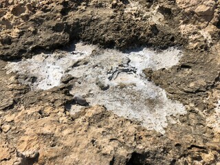 salt on Nissi beach. Cyprus. vacation, summer