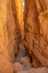 Bryce Canyon