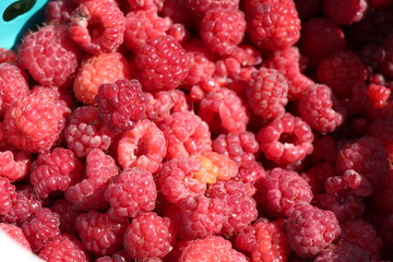 Fresh raspberry