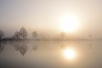 Sunrise at the lake in autumn with morning mist and bare trees in the background