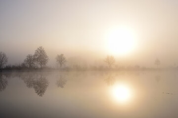 Sunrise at the lake in autumn with morning mist and bare trees in the background