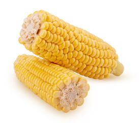 Two ear of corn cut in half