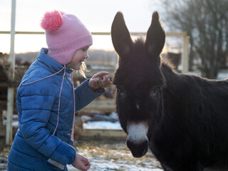 A child communicates with a donkey on a farm
