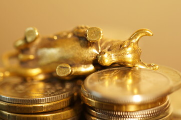 Fototapeta na wymiar Metal bull with coins on the table. Financial symbol.