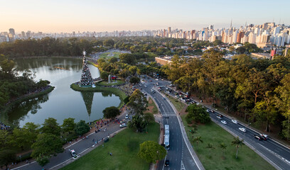 Fototapeta premium Sao Paulo city and christmas tree in Ibirapuera Park.