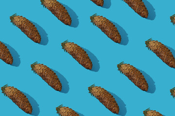 fir cones on a blue background